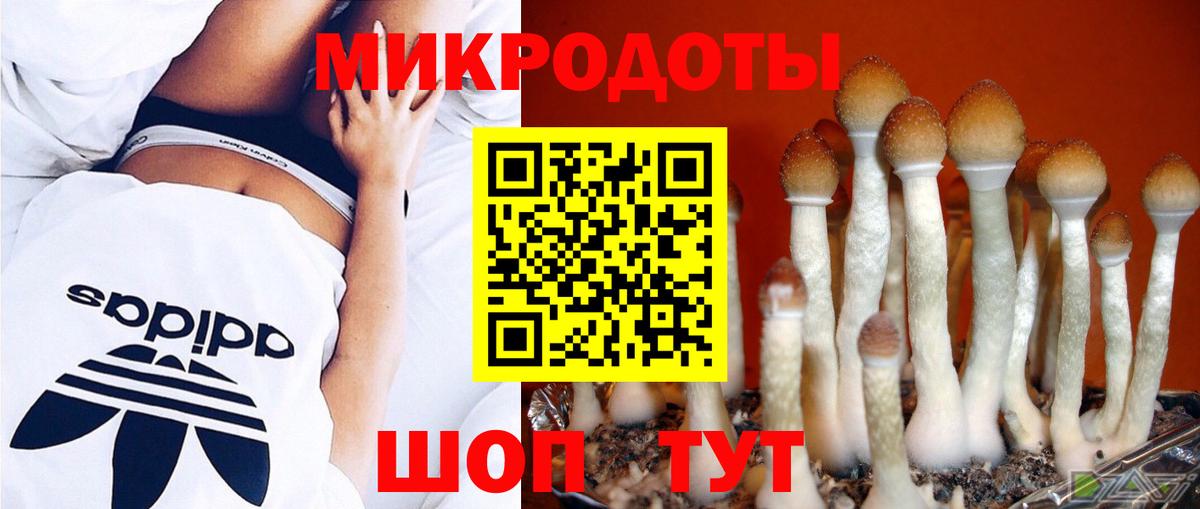Михайловка  Галлюциногенные грибы Psilocybine cubensis  что такое наркотик  Вход с VPN 