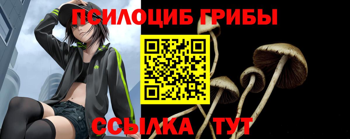 Псилоцибиновые грибы мухоморы Михайловка
